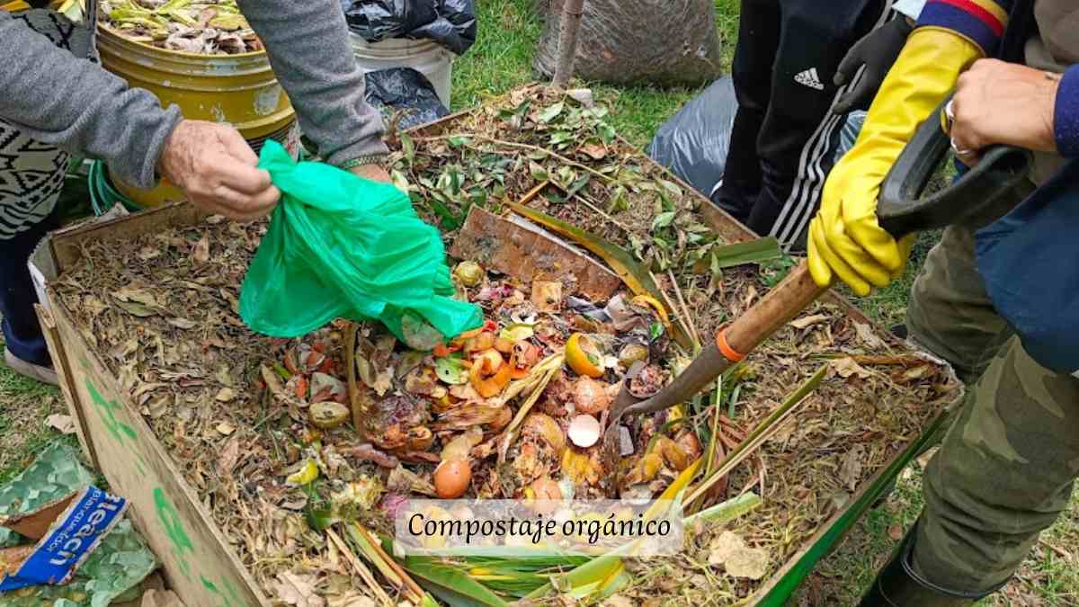 pastoral ecológica