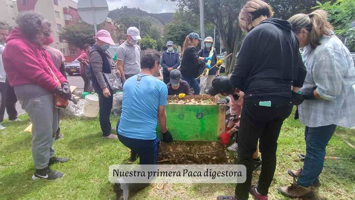 pastoral ecológica